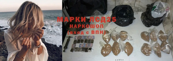 ГАЛЛЮЦИНОГЕННЫЕ ГРИБЫ Кукмор